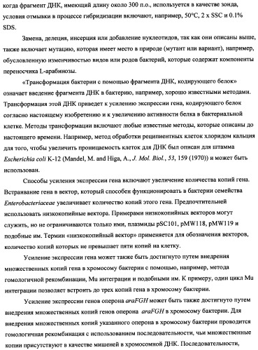 Способ получения l-треонина с использованием бактерии, принадлежащей к роду escherichia (патент 2338783)