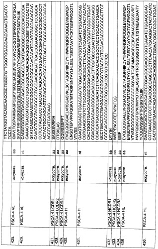 Pscaxcd3, cd19xcd3, c-metxcd3, эндосиалинxcd3, epcamxcd3, igf-1rxcd3 или fap-альфаxcd3 биспецифическое одноцепочечное антитело с межвидовой специфичностью (патент 2547600)