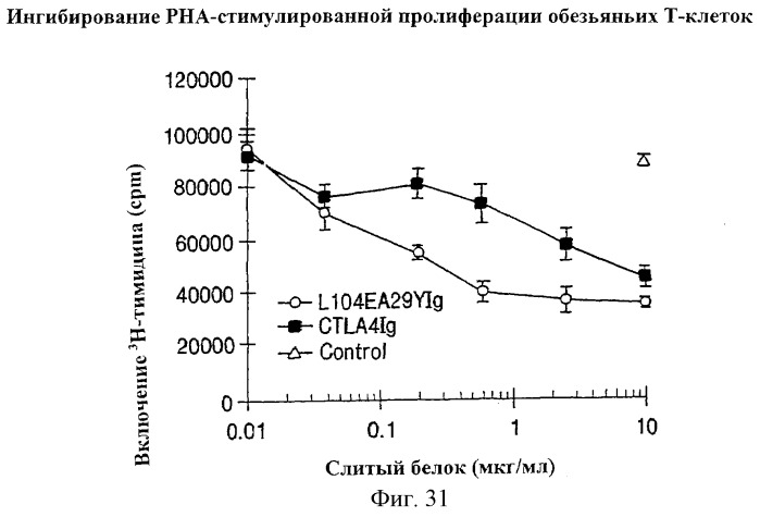 Способы лечения ревматических заболеваний с применением растворимого ctla4 (патент 2287340)