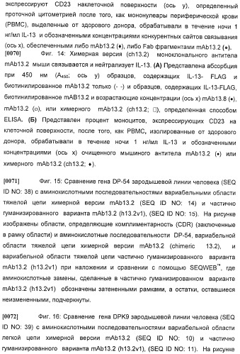 Антитела против интерлейкина-13 человека и их применение (патент 2427589)