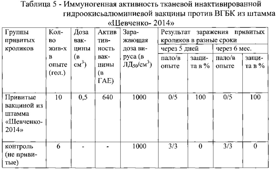 Штамм "шевченко-2014" вируса геморрагической болезни кроликов для изготовления вакцинных, диагностических и лечебных препаратов (патент 2631925)