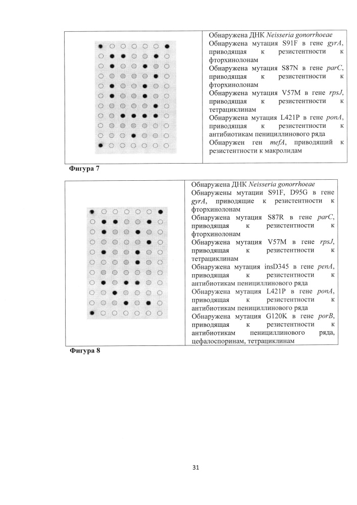 Олигонуклеотидный биочип для идентификации генетических детерминант резистентности neisseria gonorrhoeae к антимикробным препаратам, набор олигонуклеотидов, используемых для иммобилизации на биочипе (патент 2636457)