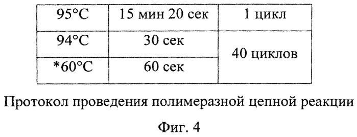 Комплексный способ определения циркулирующих опухолевых клеток в крови больных раком молочной железы (патент 2522923)