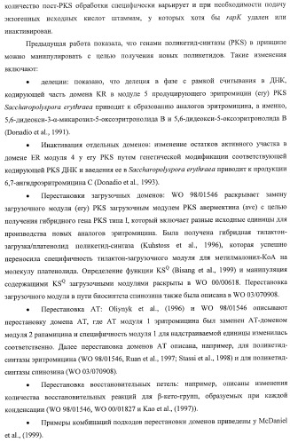 Получение поликетидов и других природных продуктов (патент 2430922)