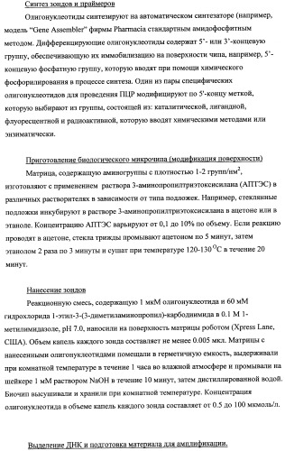 Дифференцирующий и специфический олигонуклеотиды для идентификации последовательностей днк инфекционных агентов в биологических материалах, способ видовой идентификации инфекционных агентов, биочип и набор для осуществления этого способа (патент 2348695)