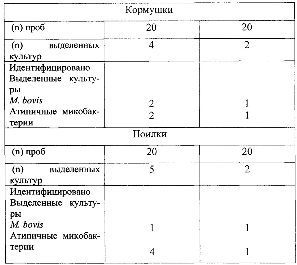 Способ выявления микобактерий с поверхностей (патент 2619220)