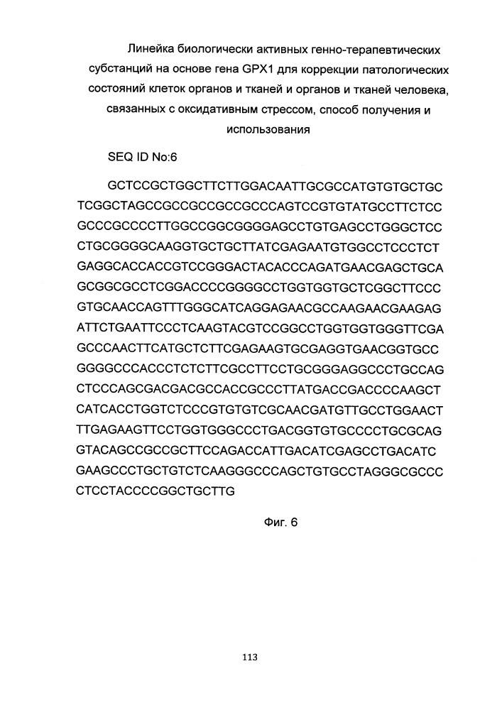 Линейка биологически активных генно-терапевтических субстанций на основе гена gpx1 для коррекции патологических состояний клеток органов и тканей и органов и тканей человека, связанных с оксидативным стрессом, способ получения и использования (патент 2653491)