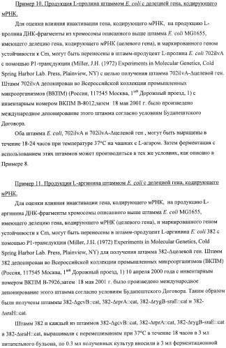 Способ получения l-аминокислот с использованием бактерии, принадлежащей к роду escherichia, в которой инактивирован один или несколько генов, кодирующих малые рнк (патент 2395567)