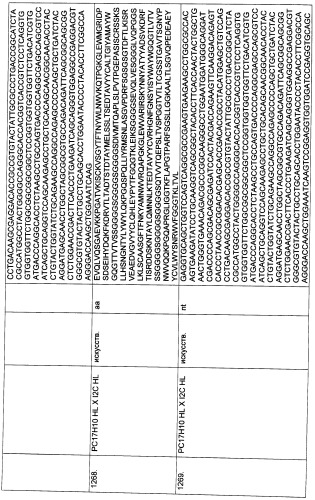 Pscaxcd3, cd19xcd3, c-metxcd3, эндосиалинxcd3, epcamxcd3, igf-1rxcd3 или fap-альфаxcd3 биспецифическое одноцепочечное антитело с межвидовой специфичностью (патент 2547600)