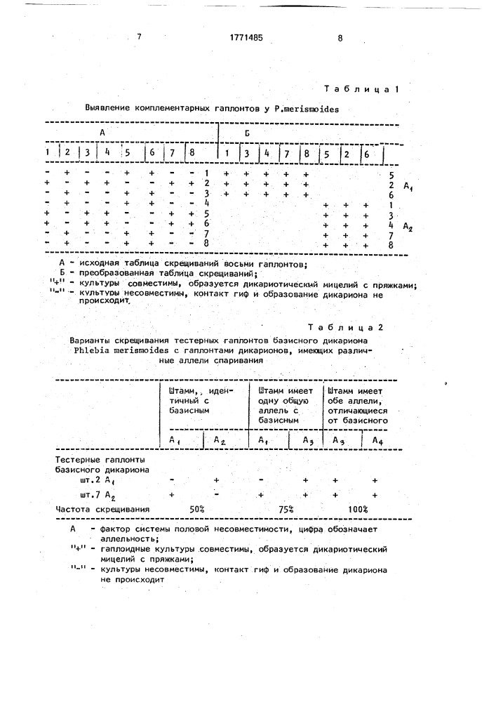 Способ идентификации штаммов гомобазидиальных грибов (патент 1771485)