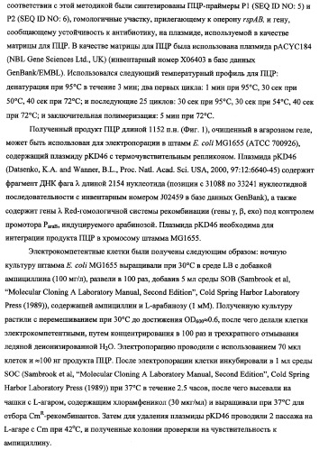 Способ получения l-треонина с использованием бактерии, принадлежащей к роду escherichia, в которой инактивирован оперон rspab (патент 2337961)