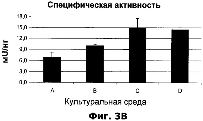 Улучшение титра полипептида фактора viii в клеточных культурах (патент 2477318)