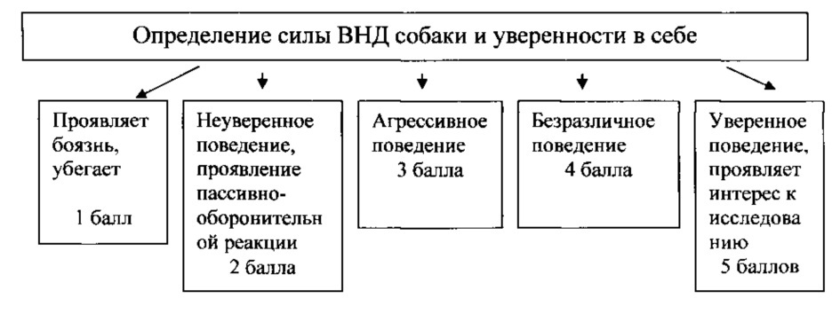 Способ определения рабочих качеств служебных собак (патент 2621382)