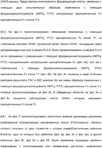Специфические антитела человека для избирательной терапии рака (патент 2316564)