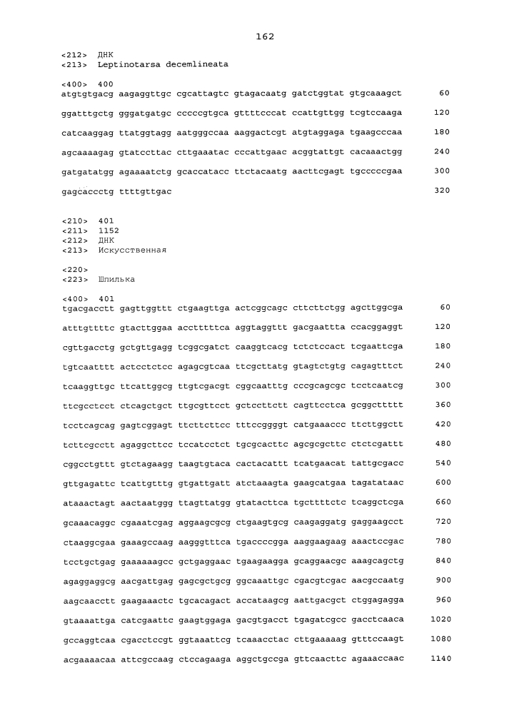 Подавление экспрессии генов у насекомых-вредителей (патент 2619219)