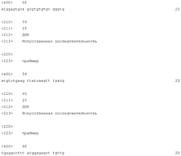 Новая гидрогеназа seq id no:5, очищенная из thermococcus onnurienus na1 с помощью моноokcида углерода, кодирующие ее гены, и способы получения водорода с использованием микроорганизма, имеющего указанные гены (патент 2460789)