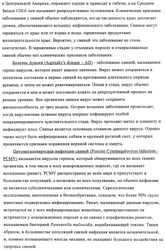 Поливалентные иммуногенные композиции pcv2 и способы получения таких композиций (патент 2488407)