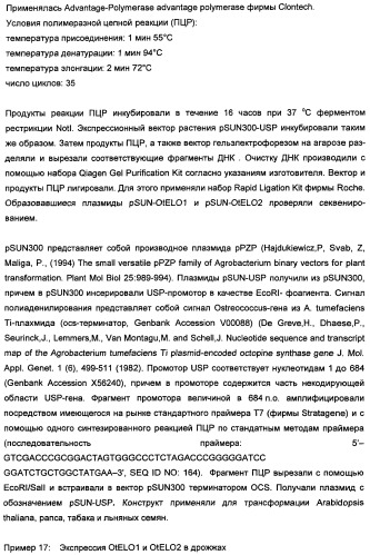 Способ получения полиненасыщенных кислот жирного ряда в трансгенных организмах (патент 2447147)