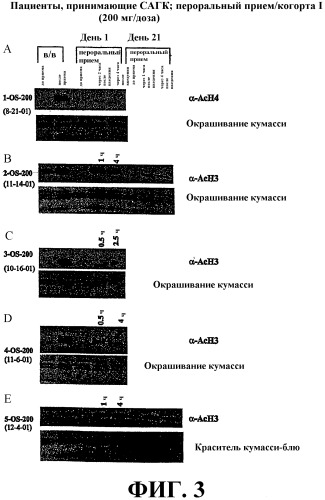 Способы индукции конечной дифференцировки (патент 2530648)