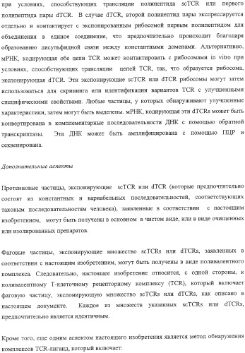 Экспонирование т-клеточных рецепторов (патент 2346004)