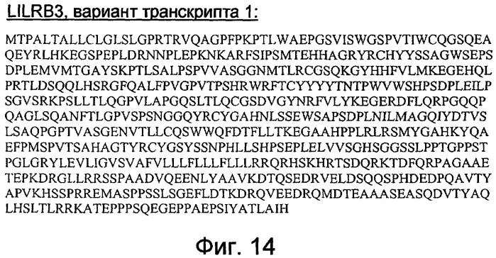 Модуляторы нейрональной регенерации (патент 2447449)