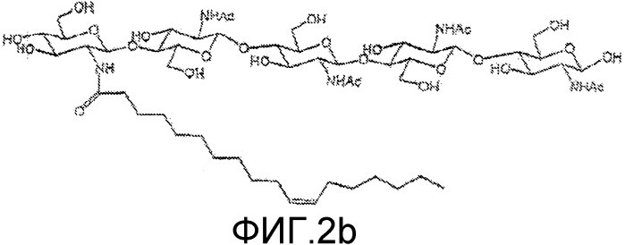 Хитоолигосахариды и способы их применения для усиления роста сои (патент 2588162)