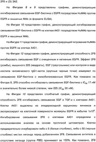 Человеческие моноклональные антитела к рецептору эпидермального фактора роста (egfr), способ их получения и их использование, гибридома, трансфектома, трансгенное животное, экспрессионный вектор (патент 2335507)