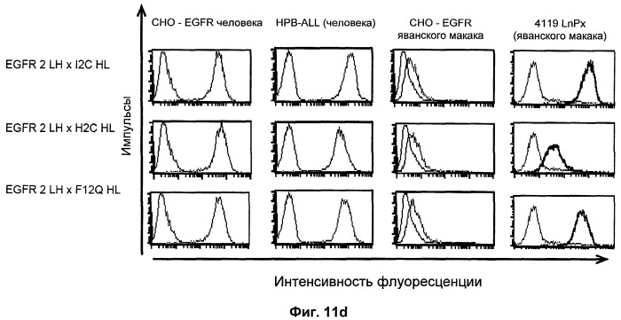 Биспецифические связывающие агенты с межвидовой специфичностью (патент 2535992)