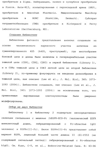 Антитела к her (патент 2504553)