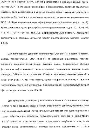 Олигопептиды остеогенного роста как стимуляторы кроветворения (патент 2310468)