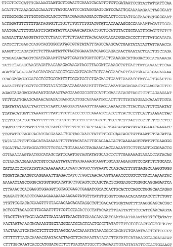 Применение s1p (патент 2362565)