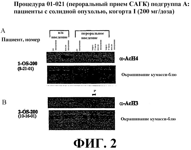 Способы индукции конечной дифференцировки (патент 2530648)