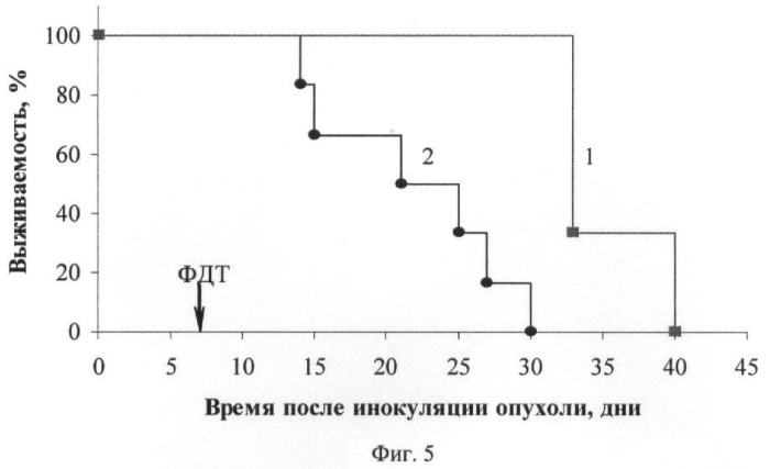 Фотосенсибилизатор на основе производного бактериохлорина p, способ получения производного бактериохлорина p и способ фотодинамической терапии рака с использованием этого фотосенсибилизатора (патент 2411943)