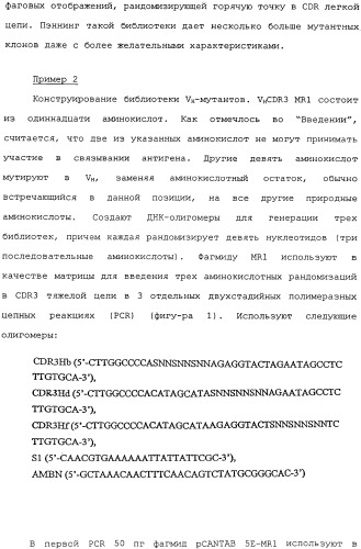 Scfv против egfrviii с улучшенной цитотоксичностью и выходом, иммунотоксины на их основе и способы их применения (патент 2317999)