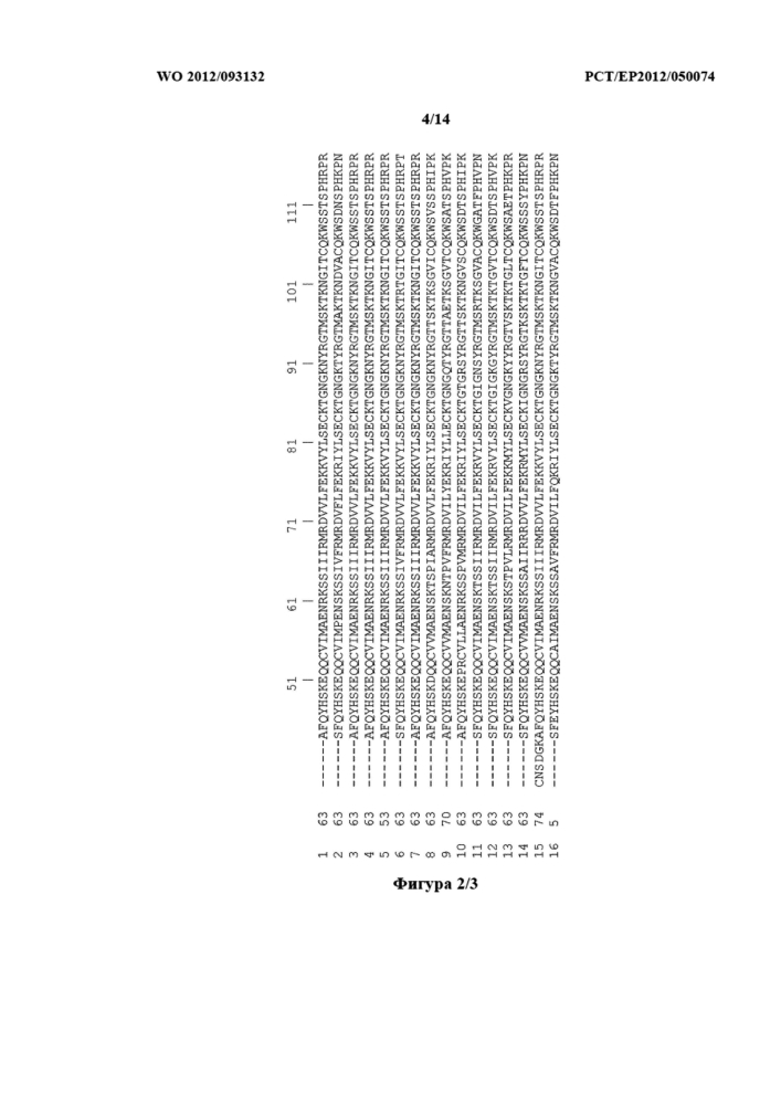Варианты плазминогена и плазмина (патент 2604807)