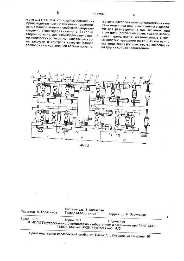 Машина для сортирования плодов (патент 1658989)