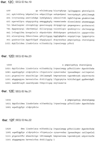 Применение s1p (патент 2362565)