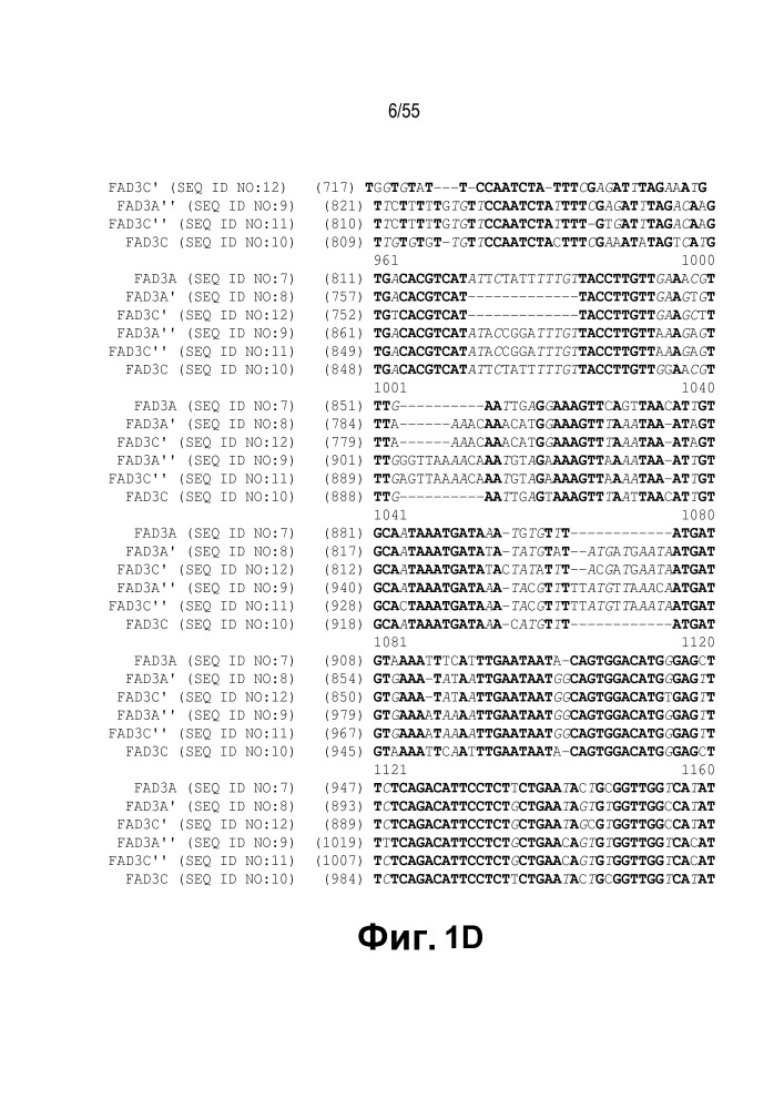 Локусы fad3 для выполнения операций и соответствующие связывающиеся со специфическими сайтами-мишенями белки, способные к вызову направленных разрывов (патент 2665811)