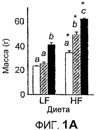 Новый пептид, участвующий в энергетическом гомеостазе (патент 2409590)