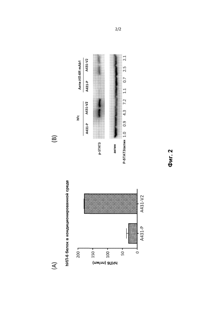 Способы ингибирования роста опухоли путем антагонизирования ил-6 рецептора (патент 2648150)