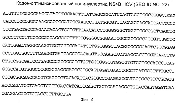 Вакцина против hcv (патент 2323744)