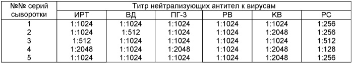 Гипериммунная поливалентная сыворотка против массовых вирусных болезней крупного рогатого скота (патент 2396979)