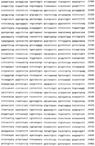 Применение s1p (патент 2362565)