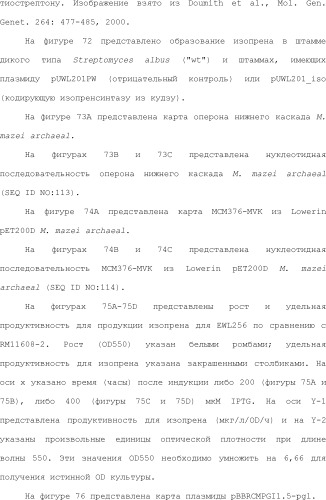 Полимеры изопрена из возобновляемых источников (патент 2505605)