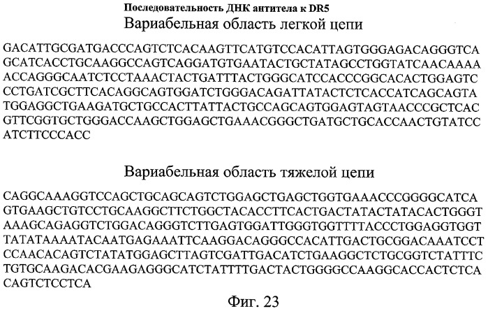 Способы и композиции для индукции апоптоза раковых клеток (патент 2379056)