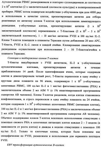 Способ картирования и устранения эпитопов т-клеток (патент 2334235)