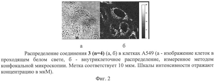 Аминоамиды в ряду бактериохлорофилла альфа, обладающие фотодинамической активностью, и способ их получения (патент 2548675)