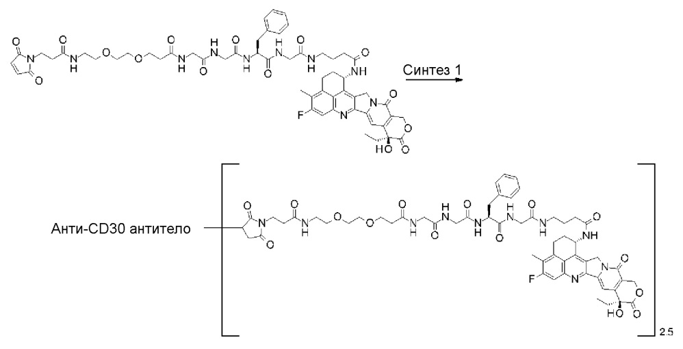 Конъюгат антитело-лекарственное средство (патент 2664465)