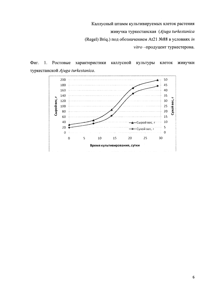 Каллусный штамм культивируемых клеток растения живучка туркестанская ajuga turkestanica (regel) briq. в условиях in vitro - продуцент туркестерона (патент 2639566)