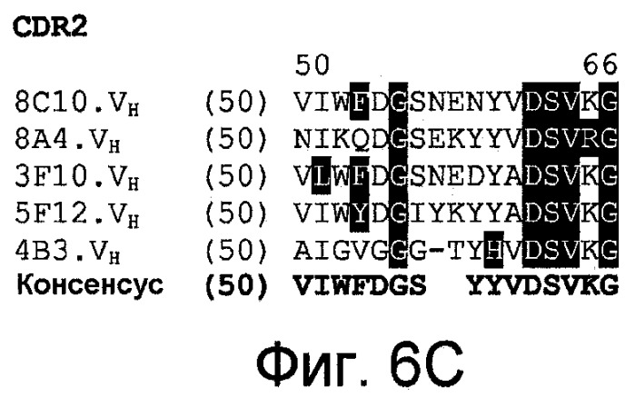 Новые полностью человеческие моноклональные антитела против vap-1 (патент 2459832)